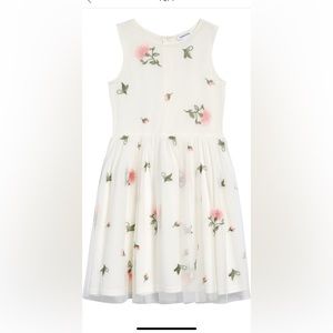 Nordstrom Kids’ Embroidered Mesh Dress